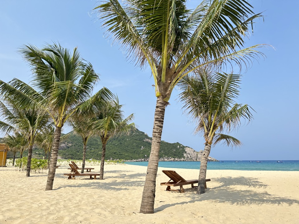 Top 3 bãi biển cực đẹp tại Quy Nhơn