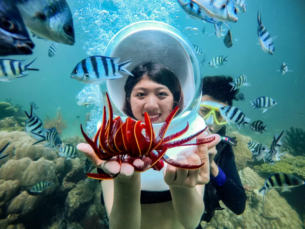 Tour đi bộ dưới biển Quy Nhơn
